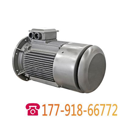 YE2系列高效率三相異步電機