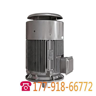 YE2系列高效率三相異步電機