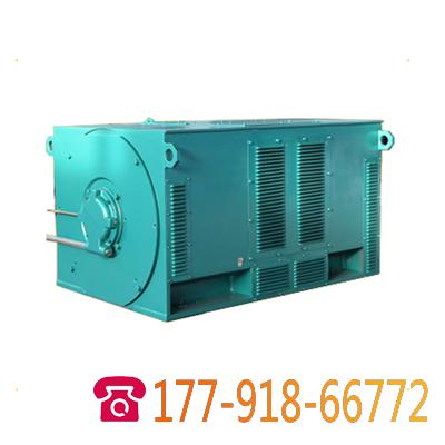 Y系列10KV籠型高壓電機(jī)