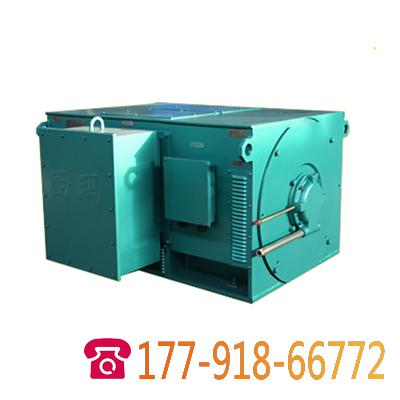 Y系列10KV籠型高壓電機(jī)
