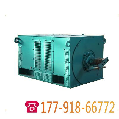 Y系列10KV籠型高壓電機(jī)