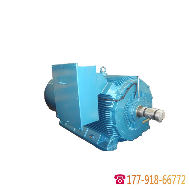 Y2系列6KV緊促型高壓三相異步電動機