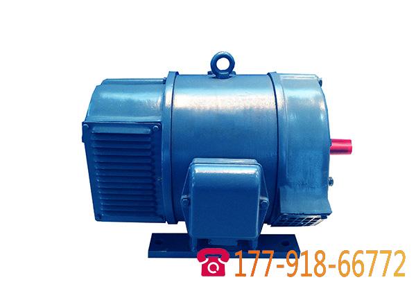 Z2系列小型直流電動機(jī)